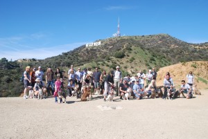 LARPBO pack walk to the Hollywood Sign
