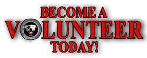 Become a Volunteer Today